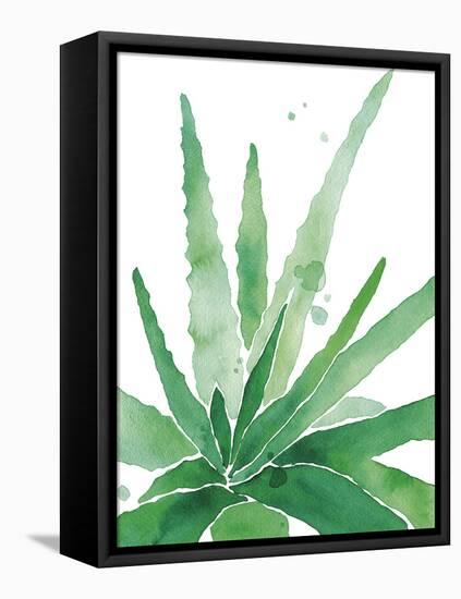 Arid - Aloe-Kristine Hegre-Framed Stretched Canvas