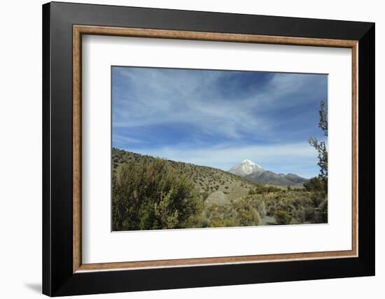 Arid Altiplano landscape, Sajama National Park, Bolivia-Anthony Asael-Framed Photographic Print