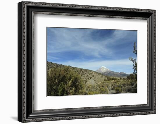 Arid Altiplano landscape, Sajama National Park, Bolivia-Anthony Asael-Framed Photographic Print