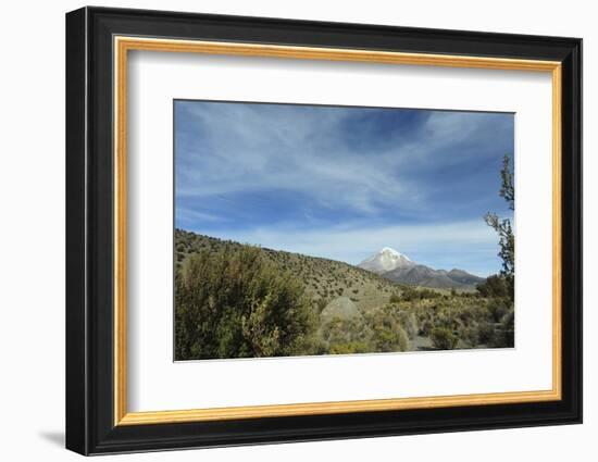 Arid Altiplano landscape, Sajama National Park, Bolivia-Anthony Asael-Framed Photographic Print