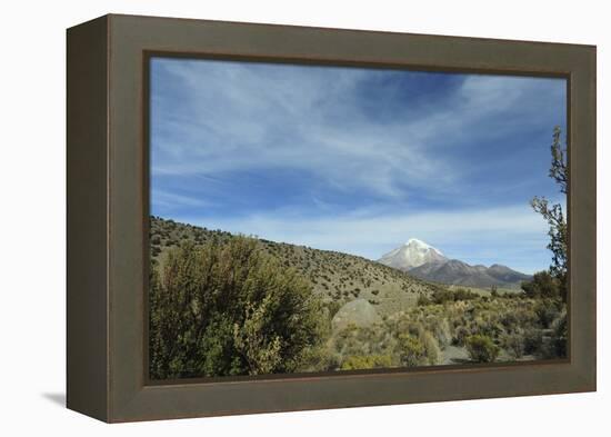 Arid Altiplano landscape, Sajama National Park, Bolivia-Anthony Asael-Framed Premier Image Canvas