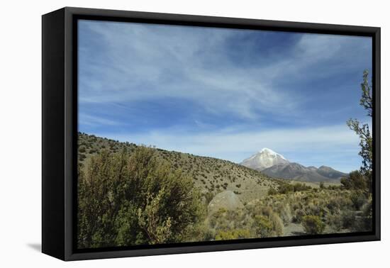 Arid Altiplano landscape, Sajama National Park, Bolivia-Anthony Asael-Framed Premier Image Canvas