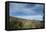 Arid Altiplano landscape, Sajama National Park, Bolivia-Anthony Asael-Framed Premier Image Canvas