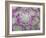 Arid Blooms-Assaf Frank-Framed Giclee Print