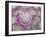 Arid Blooms-Assaf Frank-Framed Giclee Print