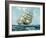 Ariel and Taeping-Montague Dawson-Framed Art Print