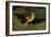 Ariel - "On the Bat's Wing Do I Fly.", C. 1826-Joseph Severn-Framed Giclee Print