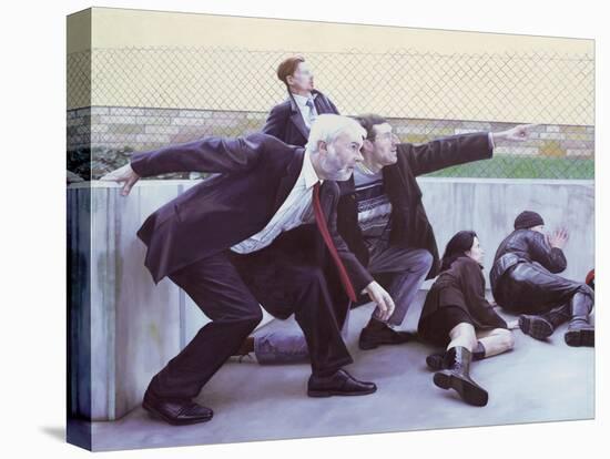 Stretched Canvas Print, , large