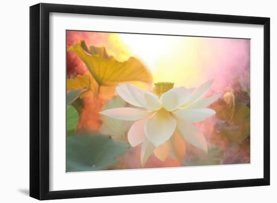 Arise-Bahman Farzad-Framed Photographic Print