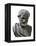 Aristotle (384-332 BC)-null-Framed Stretched Canvas