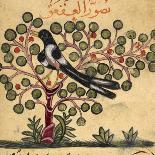 Raven-Aristotle ibn Bakhtishu-Framed Giclee Print