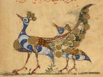 Magpie-Aristotle ibn Bakhtishu-Giclee Print