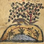 Raven-Aristotle ibn Bakhtishu-Framed Giclee Print