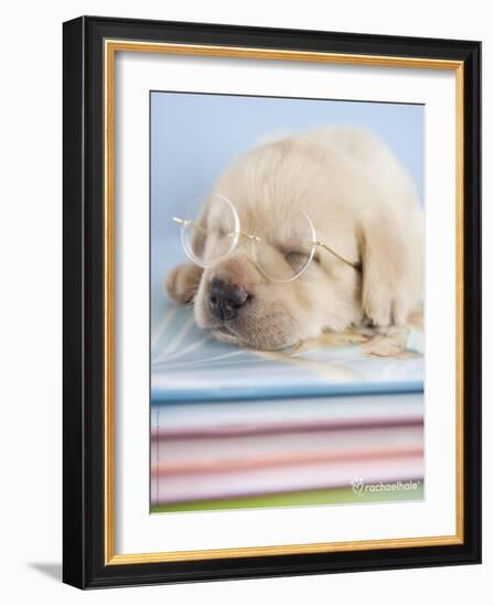 Aristotle-Rachael Hale-Framed Photographic Print