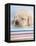 Aristotle-Rachael Hale-Framed Premier Image Canvas