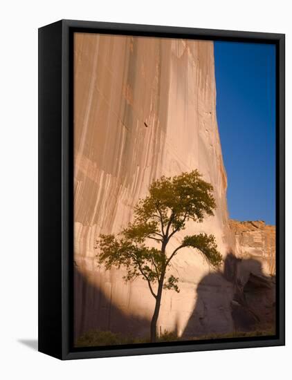 Arizona, Canyon De Chelly National Monument, USA-Alan Copson-Framed Premier Image Canvas