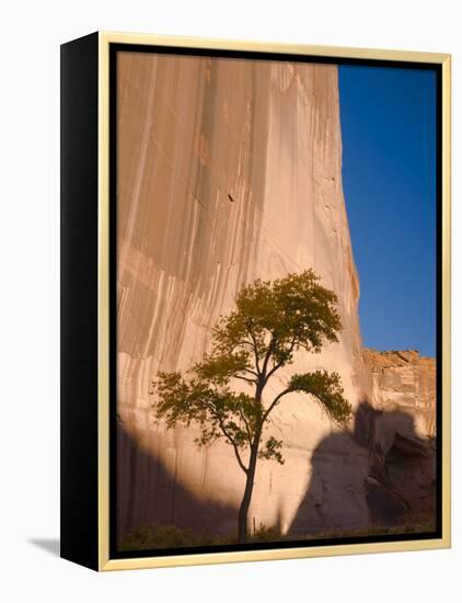 Arizona, Canyon De Chelly National Monument, USA-Alan Copson-Framed Premier Image Canvas