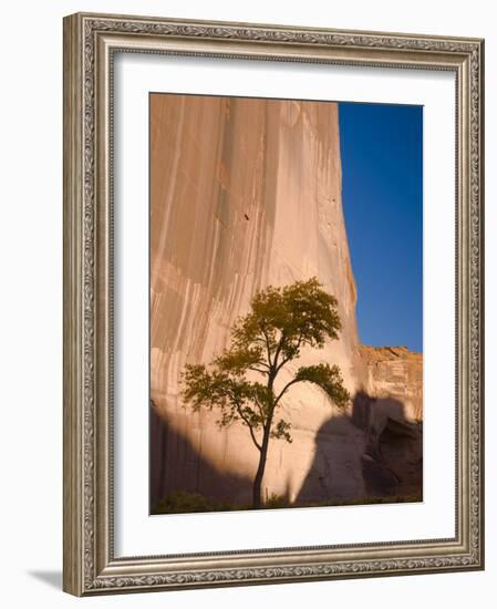 Arizona, Canyon De Chelly National Monument, USA-Alan Copson-Framed Photographic Print