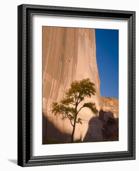 Arizona, Canyon De Chelly National Monument, USA-Alan Copson-Framed Photographic Print