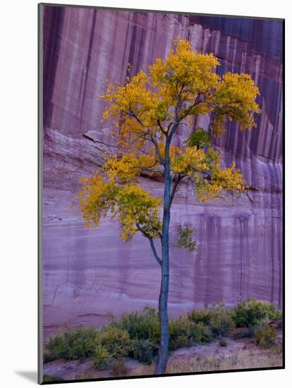 Arizona, Canyon De Chelly National Monument, USA-Alan Copson-Mounted Photographic Print