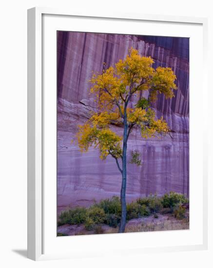 Arizona, Canyon De Chelly National Monument, USA-Alan Copson-Framed Photographic Print