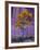 Arizona, Canyon De Chelly National Monument, USA-Alan Copson-Framed Photographic Print