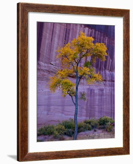 Arizona, Canyon De Chelly National Monument, USA-Alan Copson-Framed Photographic Print