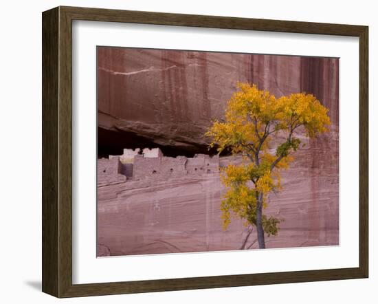 Arizona, Canyon De Chelly National Monument, USA-Alan Copson-Framed Photographic Print