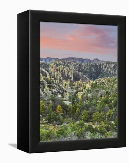 Arizona, Chiricahua National Monument. Sunrise on Rocky Landscape-Don Paulson-Framed Premier Image Canvas