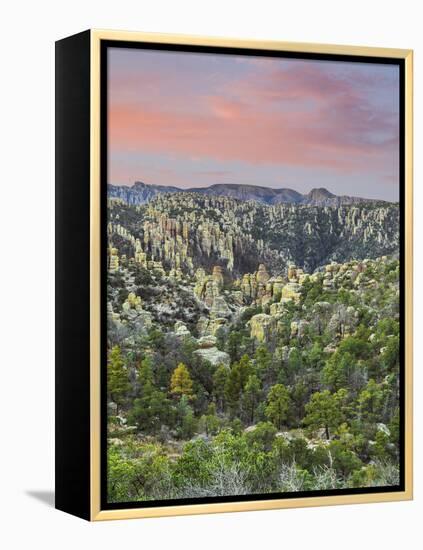 Arizona, Chiricahua National Monument. Sunrise on Rocky Landscape-Don Paulson-Framed Premier Image Canvas