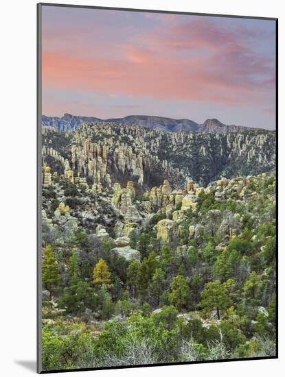 Arizona, Chiricahua National Monument. Sunrise on Rocky Landscape-Don Paulson-Mounted Photographic Print