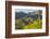 Arizona, Coronado NF. Saguaro Cactus and Blooming Palo Verde Trees-Cathy & Gordon Illg-Framed Photographic Print