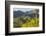 Arizona, Coronado NF. Saguaro Cactus and Blooming Palo Verde Trees-Cathy & Gordon Illg-Framed Photographic Print