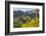 Arizona, Coronado NF. Saguaro Cactus and Blooming Palo Verde Trees-Cathy & Gordon Illg-Framed Photographic Print