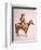 Arizona Cow-Boy on Horseback, Pastel Drawing by Frederic Remington, Ca, 1900-null-Framed Art Print