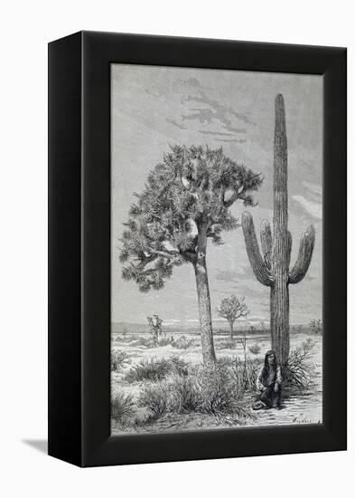 Arizona Desert Landscape with Cactus and Yucca Plants, USA, 19th Century-null-Framed Premier Image Canvas