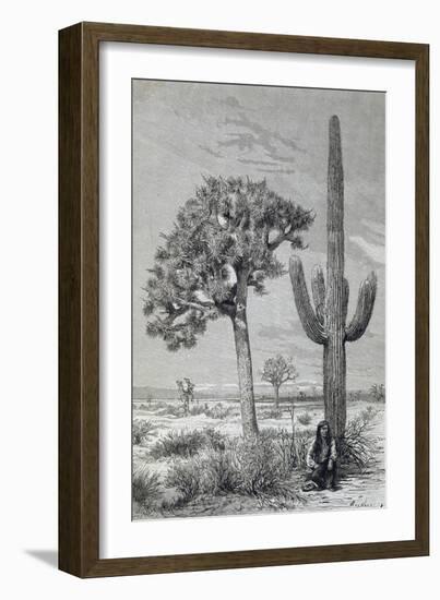 Arizona Desert Landscape with Cactus and Yucca Plants, USA, 19th Century-null-Framed Giclee Print