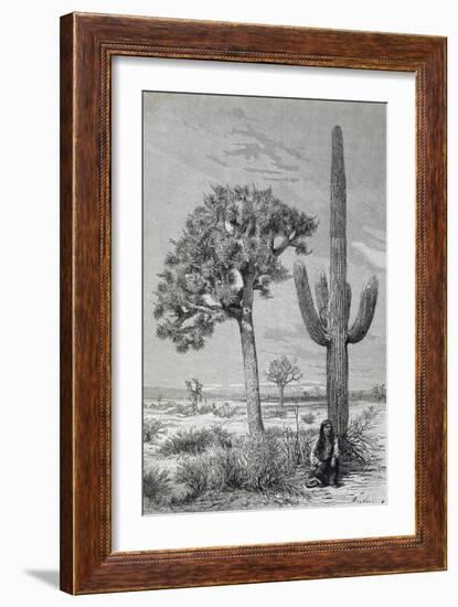 Arizona Desert Landscape with Cactus and Yucca Plants, USA, 19th Century-null-Framed Giclee Print