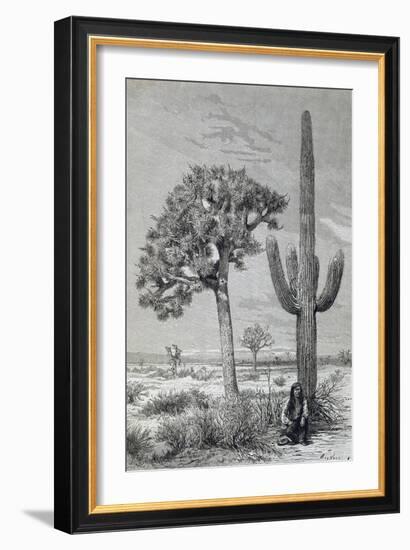 Arizona Desert Landscape with Cactus and Yucca Plants, USA, 19th Century-null-Framed Giclee Print