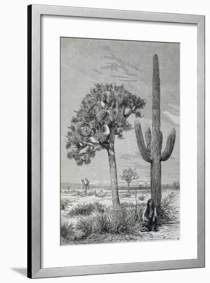 Arizona Desert Landscape with Cactus and Yucca Plants, USA, 19th Century-null-Framed Giclee Print