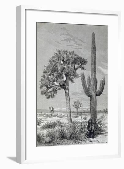 Arizona Desert Landscape with Cactus and Yucca Plants, USA, 19th Century-null-Framed Giclee Print