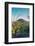 Arizona Desert Plants,USA-Anna Miller-Framed Photographic Print