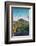 Arizona Desert Plants,USA-Anna Miller-Framed Photographic Print