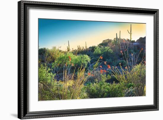 Arizona Desert Plants,USA-Anna Miller-Framed Photographic Print