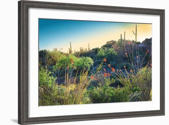 Arizona Desert Plants,USA-Anna Miller-Framed Photographic Print