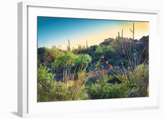 Arizona Desert Plants,USA-Anna Miller-Framed Photographic Print