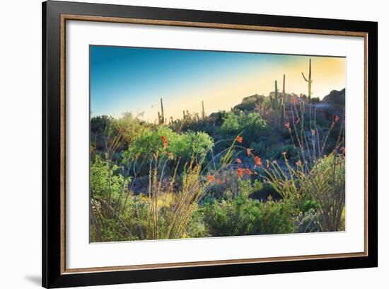 Arizona Desert Plants,USA-Anna Miller-Framed Photographic Print