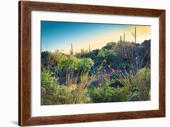 Arizona Desert Plants,USA-Anna Miller-Framed Photographic Print