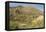 Arizona, Desert Valley Landscape near Phoenix,Scottsdale,Usa-BCFC-Framed Premier Image Canvas