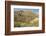 Arizona, Desert Valley Landscape near Phoenix,Scottsdale,Usa-BCFC-Framed Photographic Print